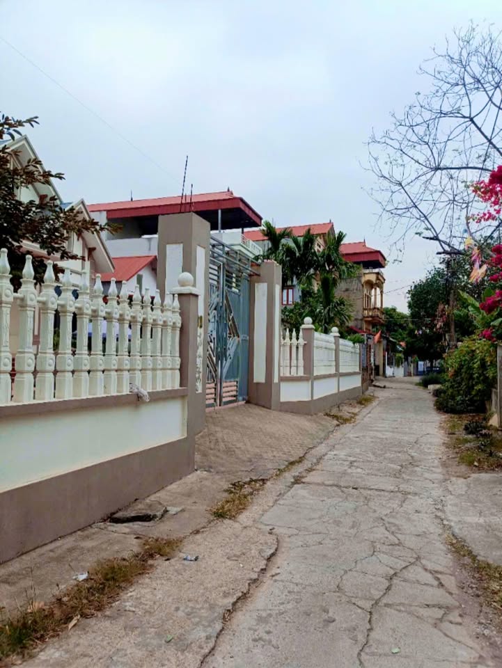 Đất nền Bãi Ổi, Xã Dĩnh Trì, 108m² - Cơ hội đầu tư cực tốt!