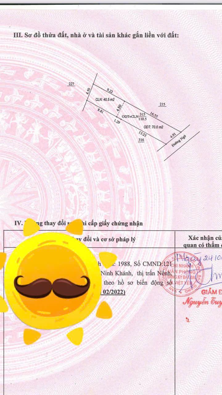 Đất nền TDP Đông, Phường Bích Động, 110m² giá 1.5 tỷ - Đầu tư sinh lời hấp dẫn!