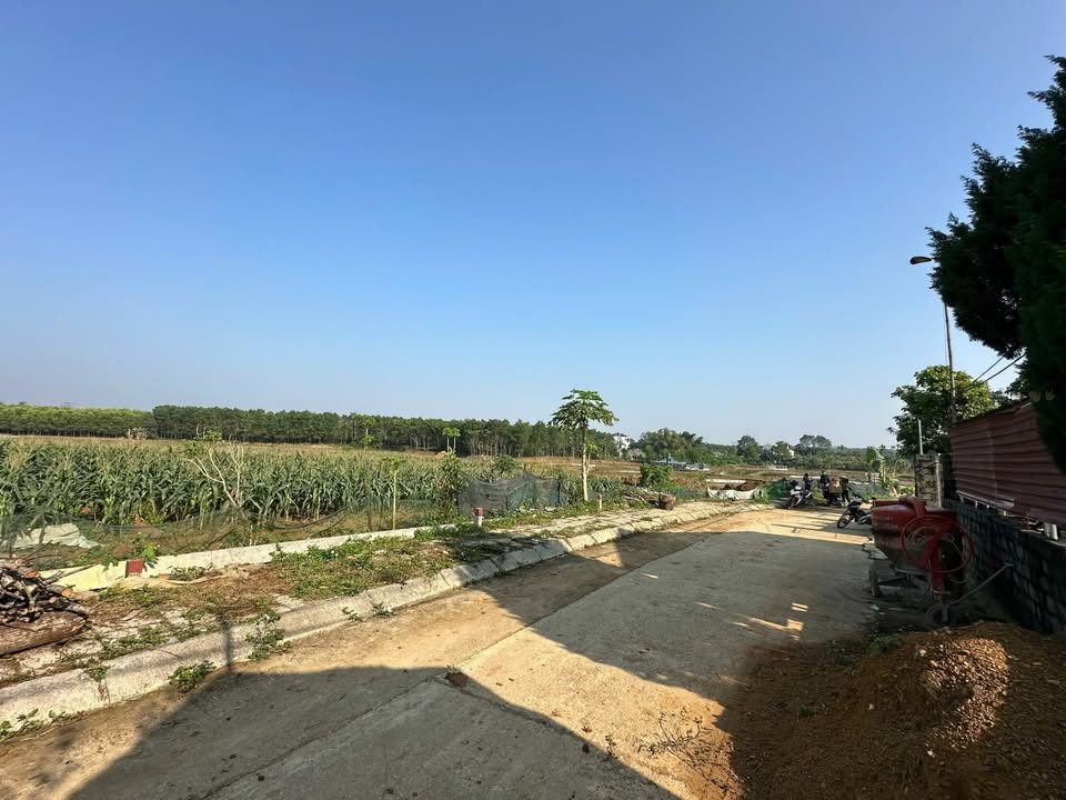 Đất thổ cư 100% Thọ Sơn - Triệu Sơn 100m² giá chỉ 600 triệu - Cơ hội đầu tư sinh lời!