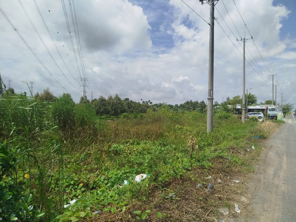 Đất nền Phường Phước Thới, Quận Ô Môn, 1234m² - Giá chỉ 2,7 tỷ!