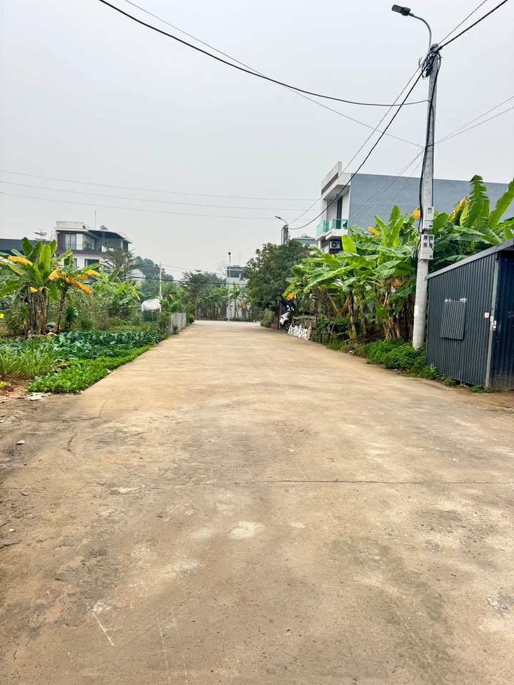 Đất nền Phường Tân Dân, Việt Trì 99m² giá 5 tỷ - Đầu tư sinh lời ngay!