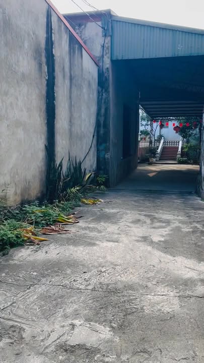 Kho xưởng cho thuê tại Phường Vân Phú 500m² - Phù hợp xưởng may, kho hàng!