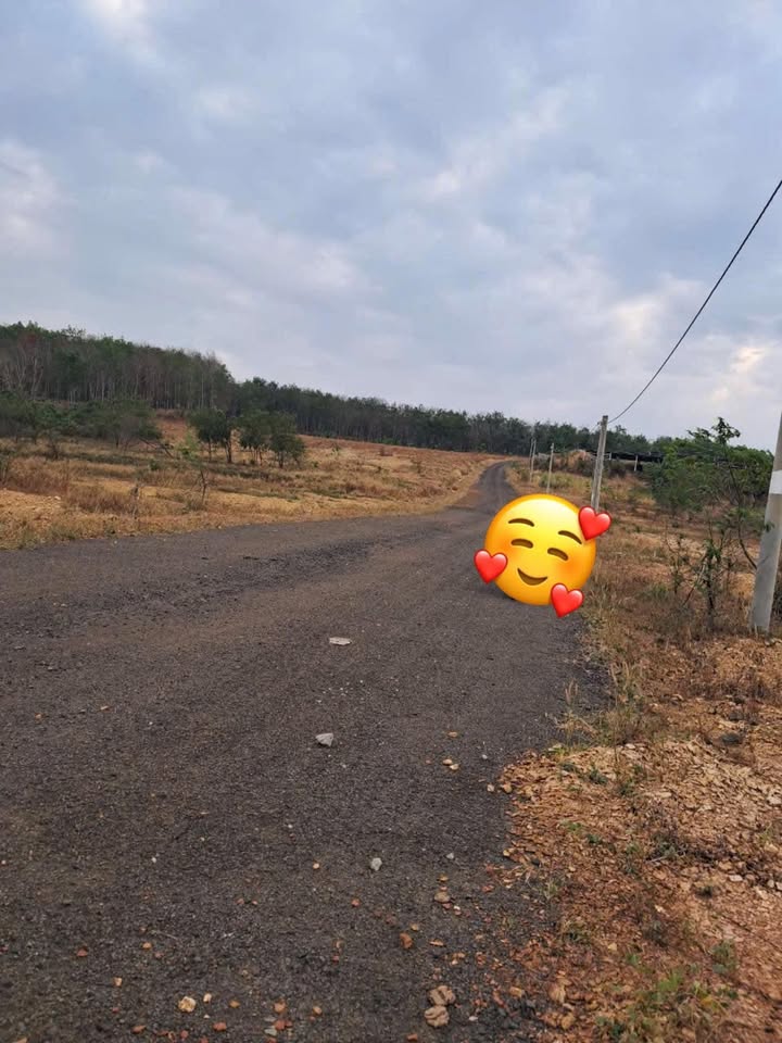 Đất nền dự án Phú Trung Bình Phước 250m² giá chỉ 180 triệu - Cơ hội đầu tư sinh lời!