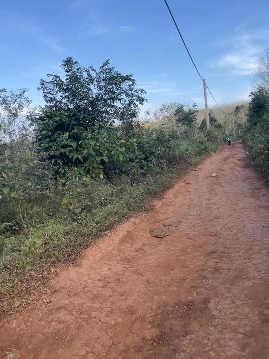 Đất nền mặt tiền đường tránh Buôn Hồ 1008m² giá chỉ 600 triệu - Cơ hội đầu tư hấp dẫn!