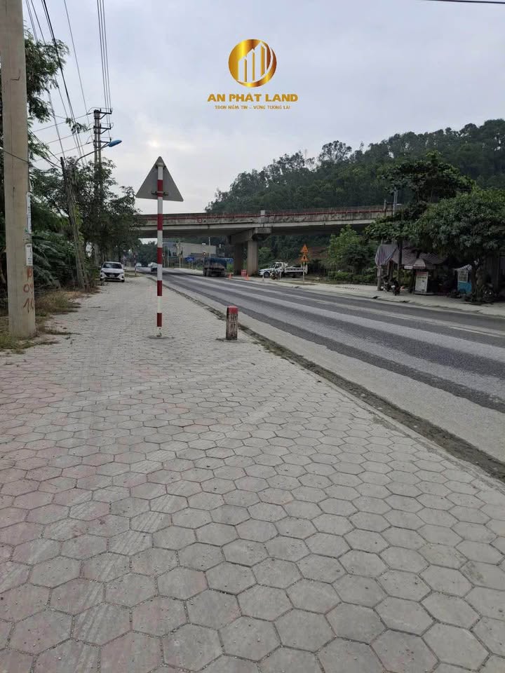 Đất nền 100m² tại Tam Điệp, giá 1 tỷ - Tiềm năng kinh doanh lớn!