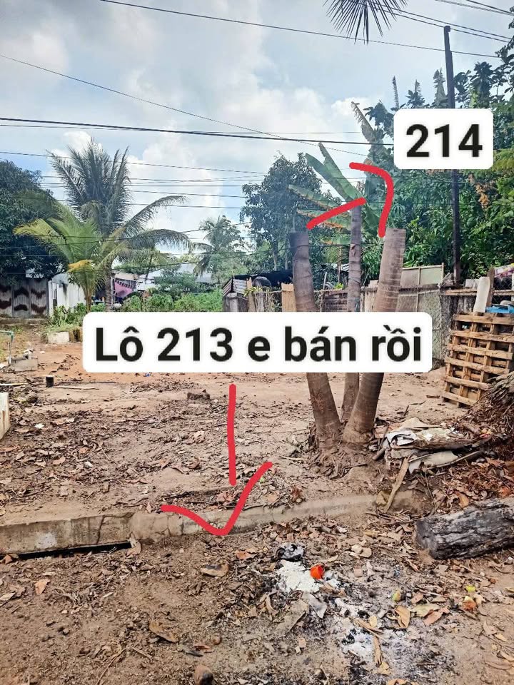 Đất mặt tiền nhựa xã Long Đức 126m² giá 700 triệu - Bán gấp!