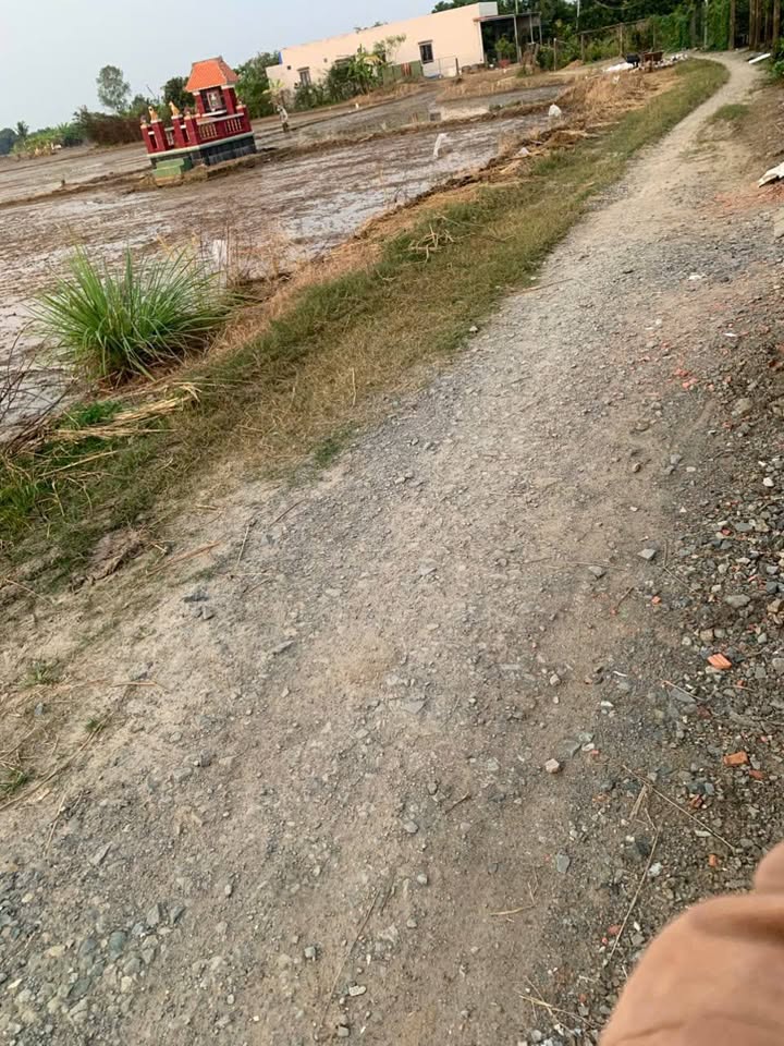 Đất thổ cư Xã Bình An, Thủ Thừa, Long An 1000m² giá 490 triệu - Tiềm năng lớn chờ khai thác!