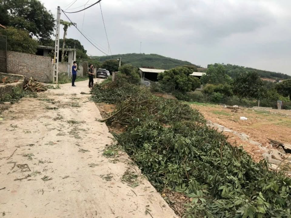 Đất thổ cư Cẩm Lý - Bắc Giang 1222m² giá chỉ 1 tỷ - Cơ hội đầu tư hấp dẫn!