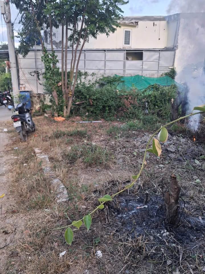 Đất nền Hòn Nghê, Vĩnh Ngọc, Nha Trang - Giá chỉ từ 380 triệu!