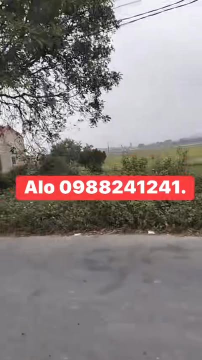 Đất nền 150m² mặt tiền 6m tại Đường Thành Xá, xã Mai Phú - Kinh doanh thuận lợi!