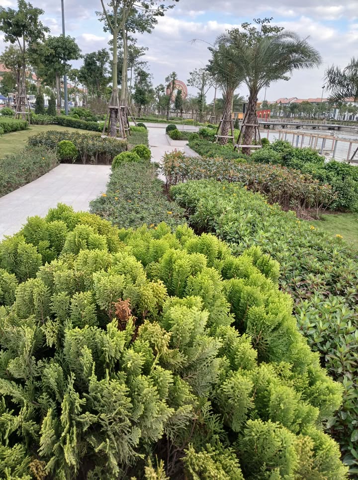 Đất cho thuê 300m² Hồ Xanh, Lam Hạ - Vị trí đẹp, kinh doanh thuận lợi!