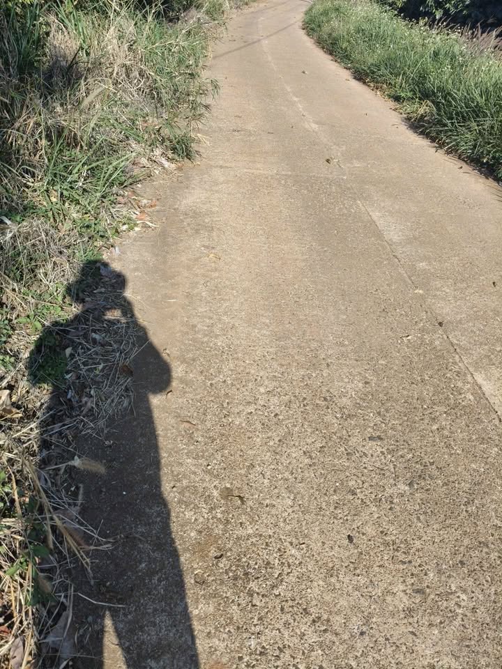 Đất Farm Hoài Đức 12.000m² giá 7.2 tỷ - Đầu tư sinh lời vượt trội!