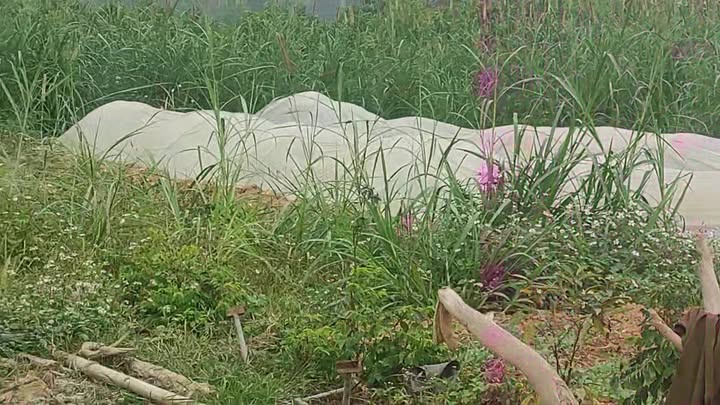 Đất nền Huyện Nho Quan 1800m² giá 3 tỷ - Đầu tư sinh lời ngay!