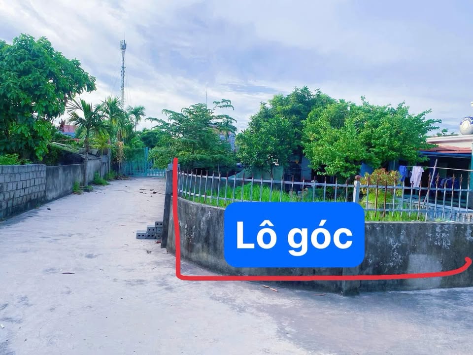 Đất nền Xóm 5, xã Bình Hòa, huyện Giao Thủy, 260m² - Lô góc siêu đẹp giá tốt!