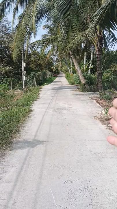 Đất nền thổ cư tại Phường 5, Thị xã Cai Lậy, 536m² chỉ 550 triệu - Cơ hội đầu tư hấp dẫn!