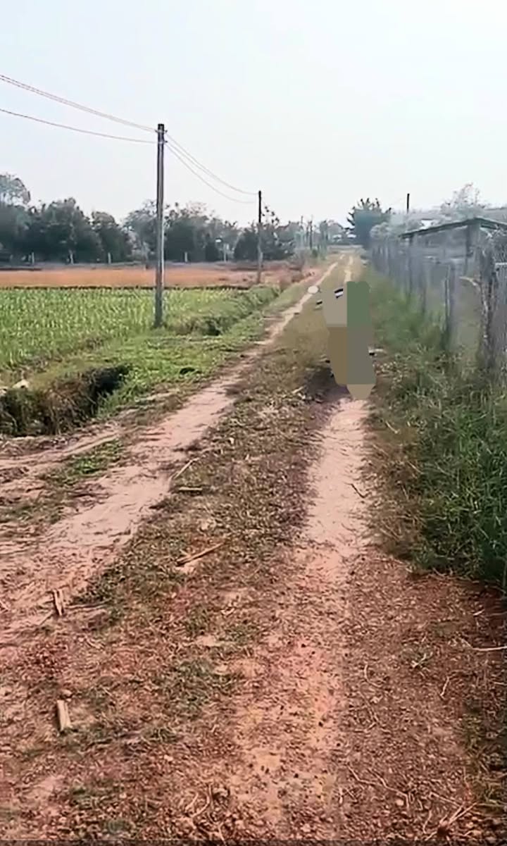 Đất nền 3.800m² tại Phước Thạnh, Gò Dầu, Tây Ninh - Giá chỉ 1.1 tỷ, thương lượng tốt!