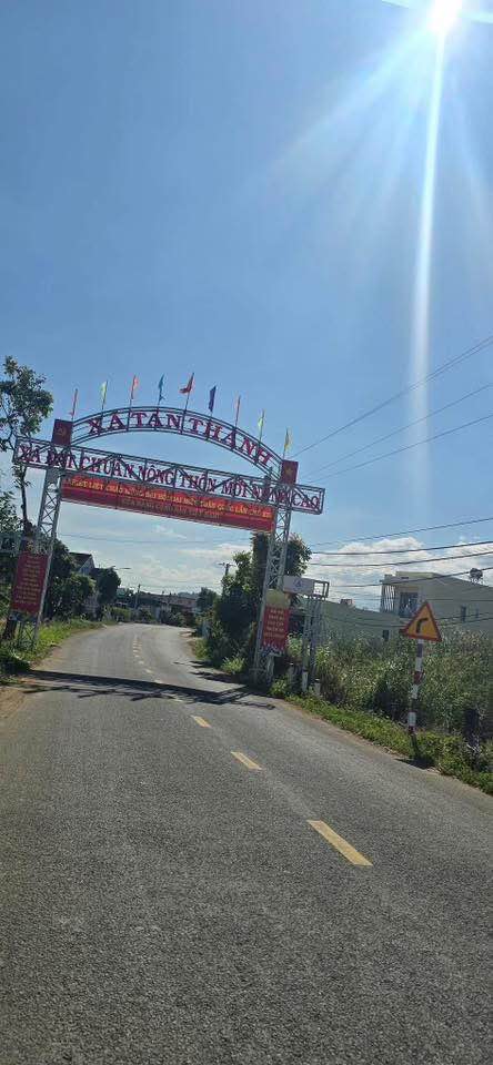 Đất mặt tiền đường nhựa chính Tân Thành, 9000m² giá 8.5 tỷ - Cơ hội đầu tư hấp dẫn!