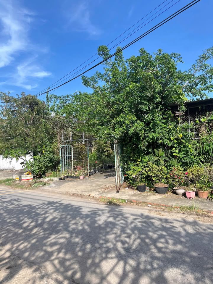 Đất thổ cư 187m² hẻm nhựa CMT8 Tân An giá 46.75 tỷ - Cơ hội đầu tư hiếm có!