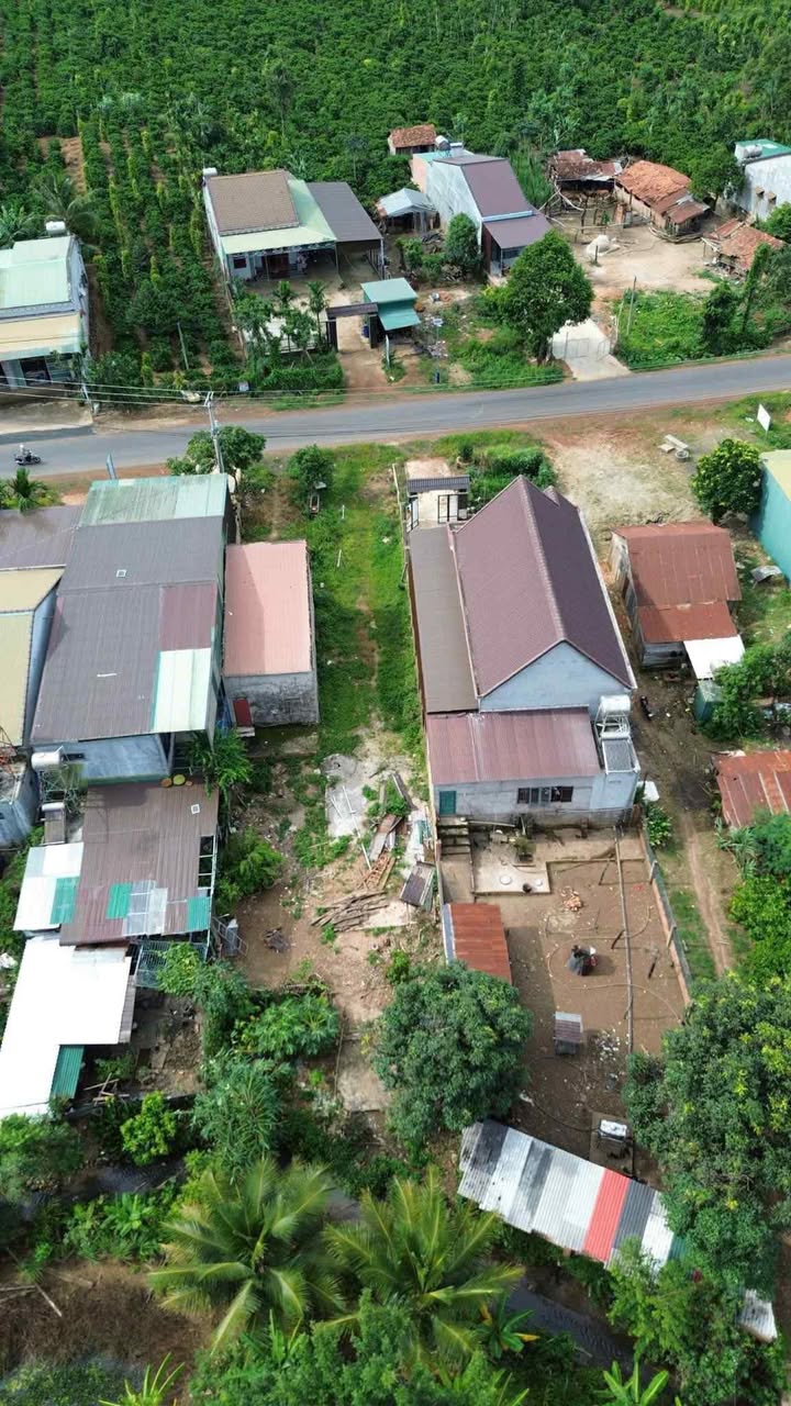 Mặt tiền kinh doanh TL 683 Nam Xuân 100m² giá 800 triệu - Đầu tư sinh lời ngay!