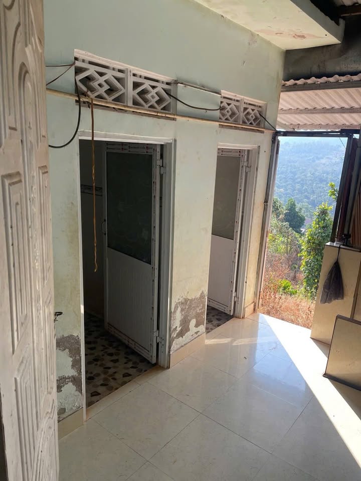 Farm tại Nghĩa Thương, Tư Nghĩa 907.5m² giá 1.45 tỷ - Đầu tư sinh lời hấp dẫn!