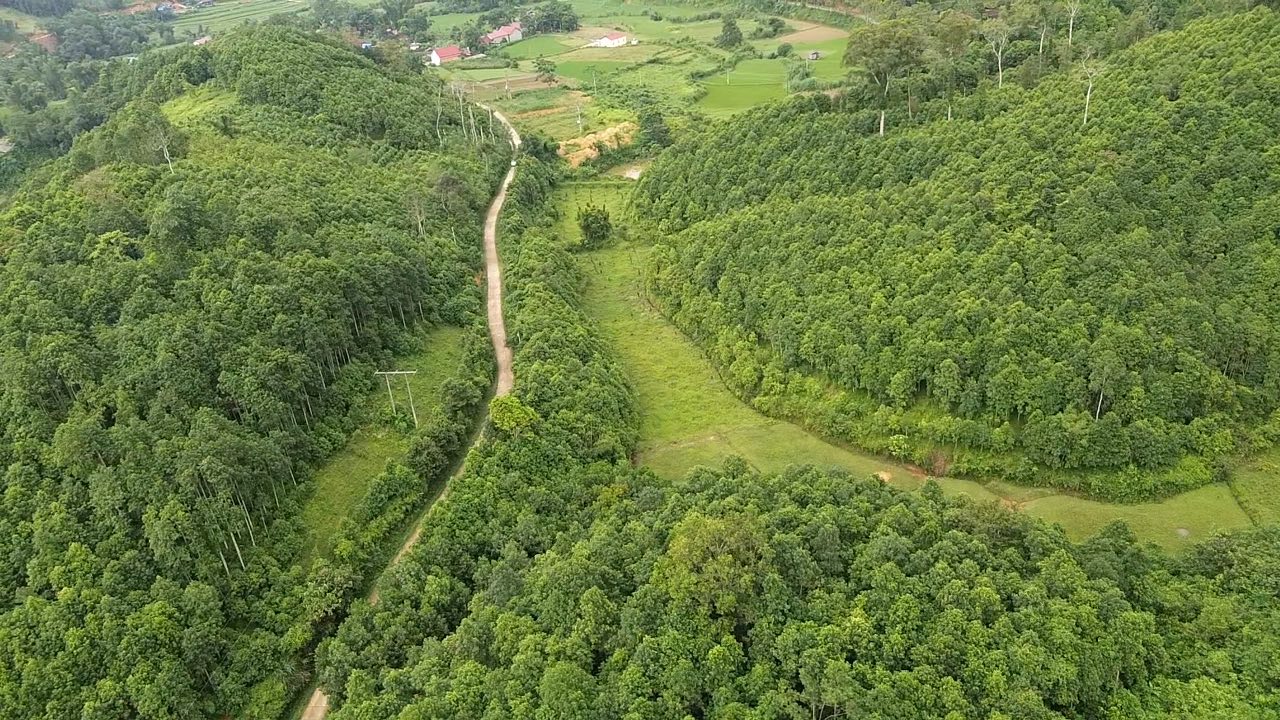 Farm 1.2ha tại Na Rì, Bắc Kạn giá chỉ 400 triệu - Đầu tư tiềm năng!