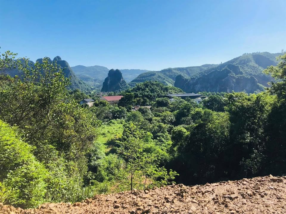 Đất Farm Lâm Sơn, Huyện Lương Sơn 4981m² giá thỏa thuận - Vị trí đẹp, cơ hội đầu tư lý tưởng!