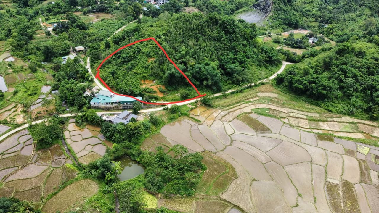 Lô đất farm Đà Bắc 840m² giá 900 triệu - View cánh đồng thơ mộng