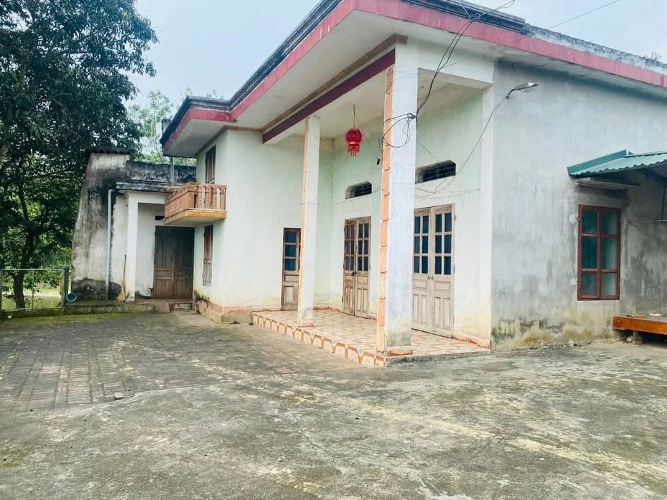 Đất vườn 2.900m² tại Việt Trì, Phú Thọ - Giá thỏa thuận, 3 mặt tiền