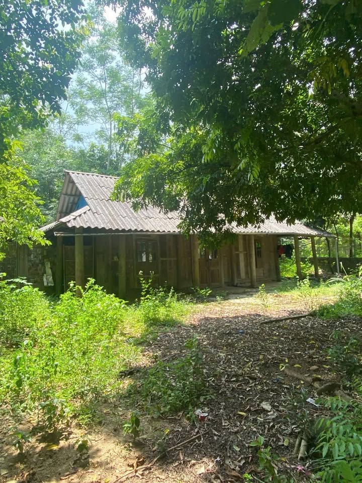 Farm Đà Bắc Hòa Bình 1300m² giá 900 triệu - Sổ đỏ chính chủ, tiện ích đầy đủ!