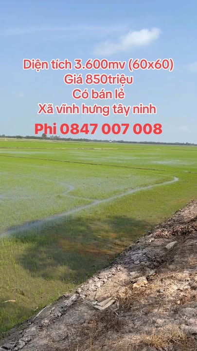 Đất nền Vĩnh Hưng Long An 3600m² giá 850 triệu - Cơ hội đầu tư hiếm có!