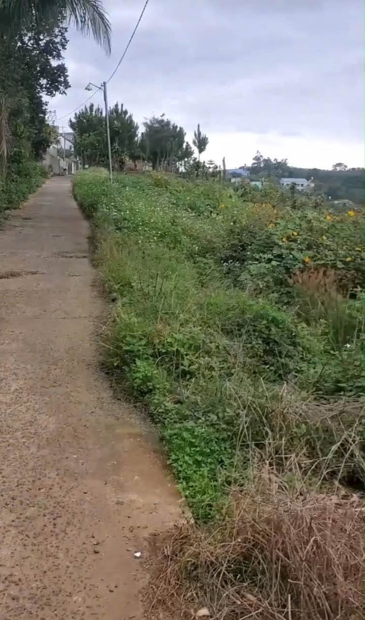 Đất nền xã Lộc Nga Bảo Lộc 78m² giá 11.5 tỷ - Đầu tư sinh lời ngay!