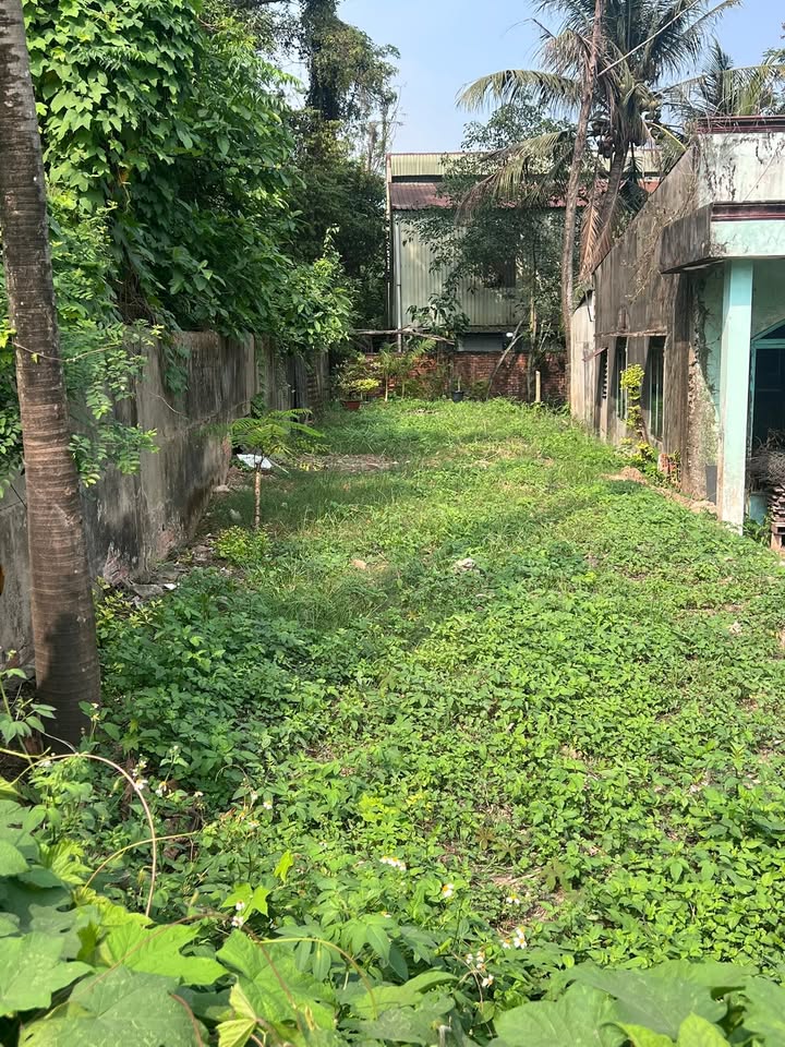 Đất nền giá rẻ mặt tiền đường Dương Công Khi, Hóc Môn 150m² - Sổ hồng chính chủ