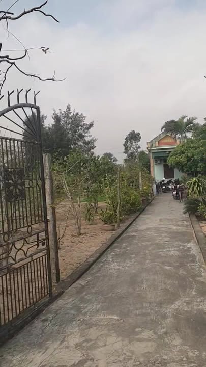 Đất nền xã Quảng Bình, huyện Quảng Xương, 1000m² giá 70 tỷ - Cơ hội đầu tư tuyệt vời!