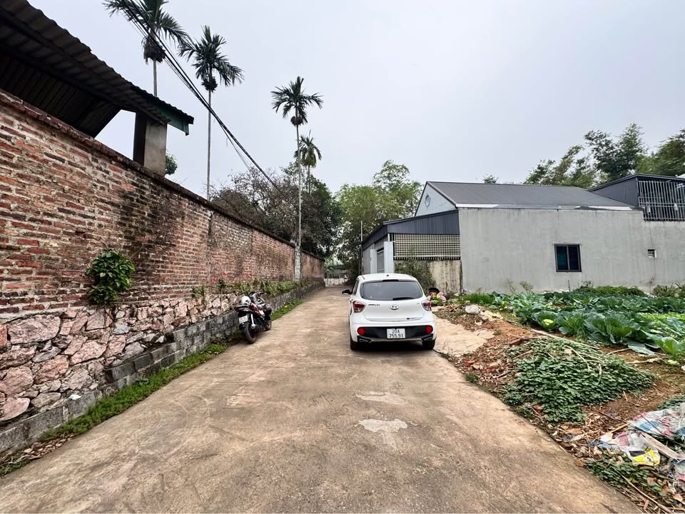 Đất thổ cư 130m² mặt tiền rộng, đường ô tô thông, giá 1.8 tỷ - Cơ hội đầu tư không thể bỏ lỡ!