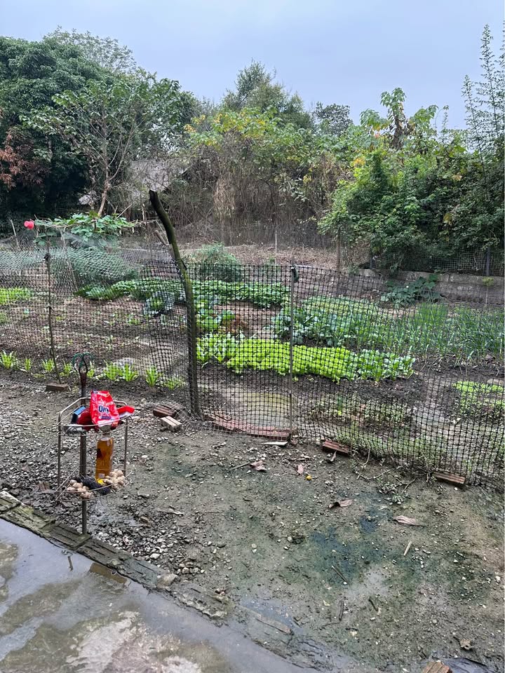 Đất thổ cư 370m² tại Thị trấn Hóa Thượng giá chỉ 1 tỷ - Cơ hội đầu tư hấp dẫn!