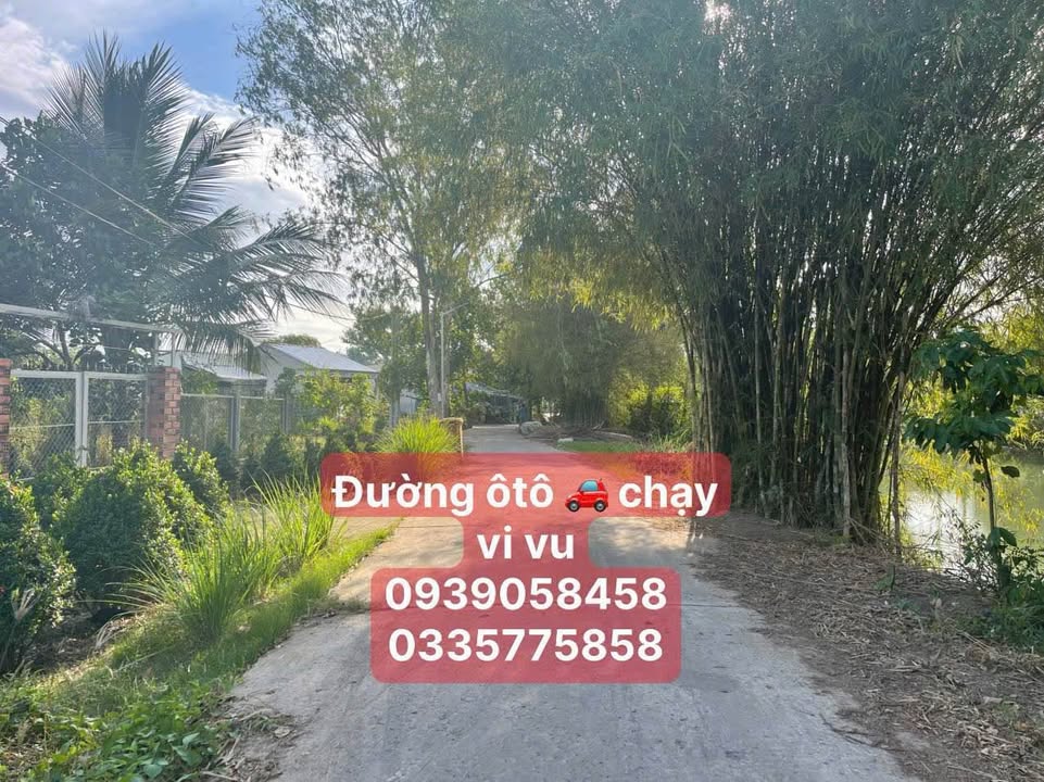 Đất nền Tân Phú Đông, 157.3m² giá 850 triệu - Sổ hồng chính chủ, gần trung tâm!