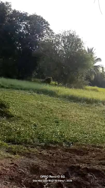 Nhà cấp 4 đất vườn xã Đức Lập Hạ 170m² giá 1.2 tỷ - Bán gấp, sổ hồng chính chủ!