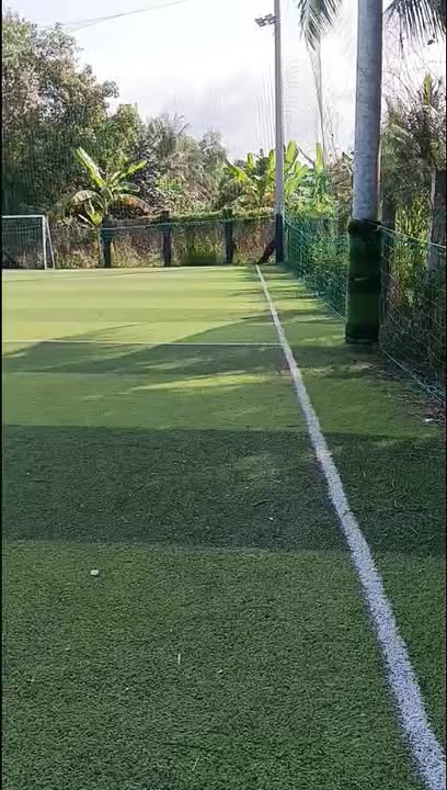 Đất nền 991m² tại Ấp 1, Mỹ Nhơn, Ba Tri - Giá 2 tỷ, có nhà cấp 4 sẵn sàng hoạt động!