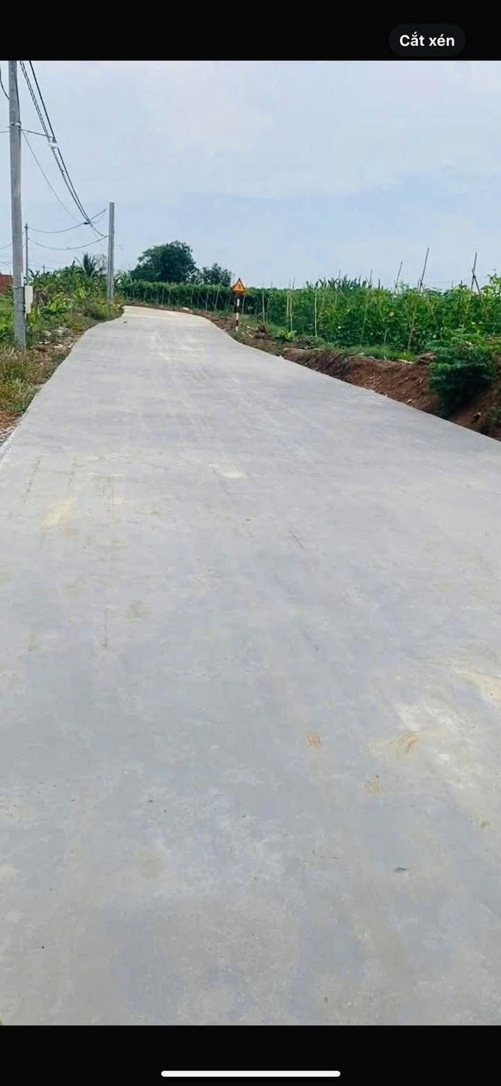 Đất nền đầu tư Xã Gia Kiệm 5.398m² giá 2.3 tỷ - Vị trí đẹp, tiềm năng lớn!