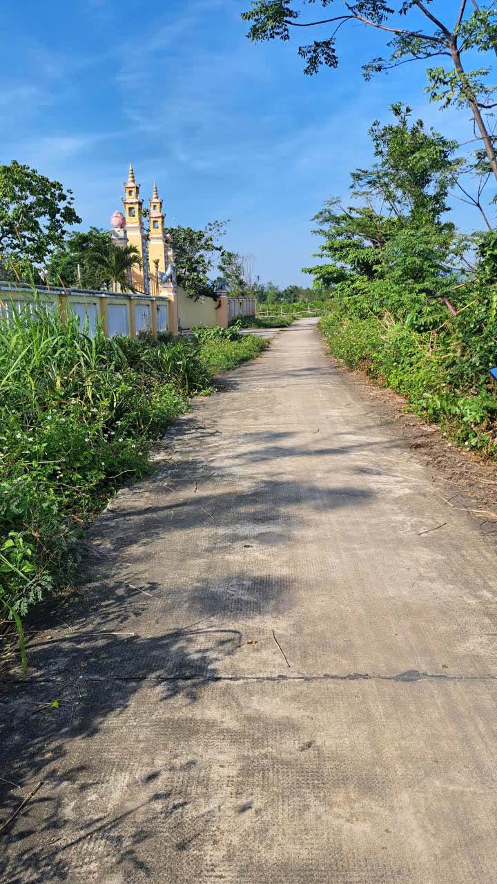 Đất nền Phước Quang, Tuy Phước 135m² giá chỉ 200 triệu - Cơ hội đầu tư tuyệt vời!