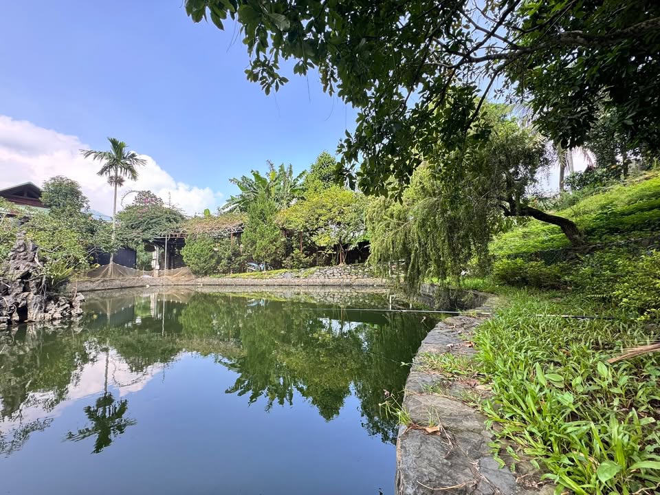 Đất nghỉ dưỡng 2500m² tại Yên Xuân - Giá thỏa thuận, không khí trong lành!