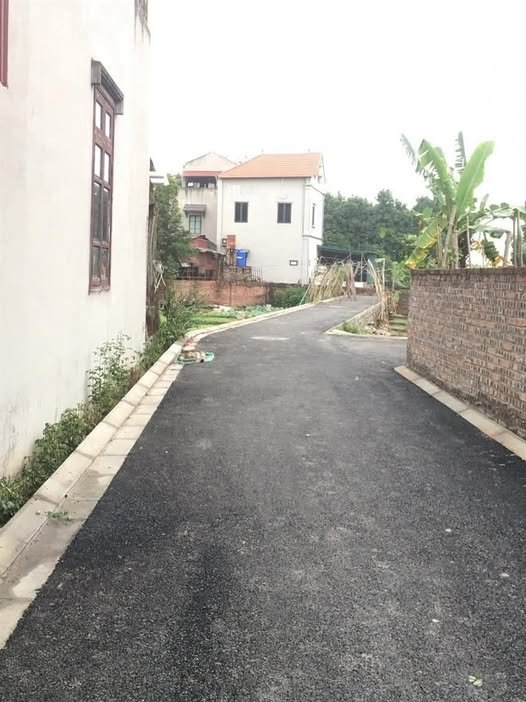 Đất nền Thuận Tốn, Gia Lâm 45m² giá 4 tỷ - Vị trí đắc địa gần chợ bún