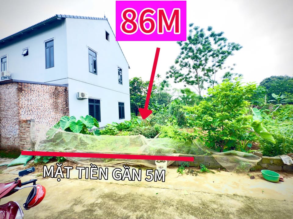 Đất nền xã Phú Cát, Quốc Oai 86m² chỉ 1 tỷ - Đầu tư tiềm năng ngay!