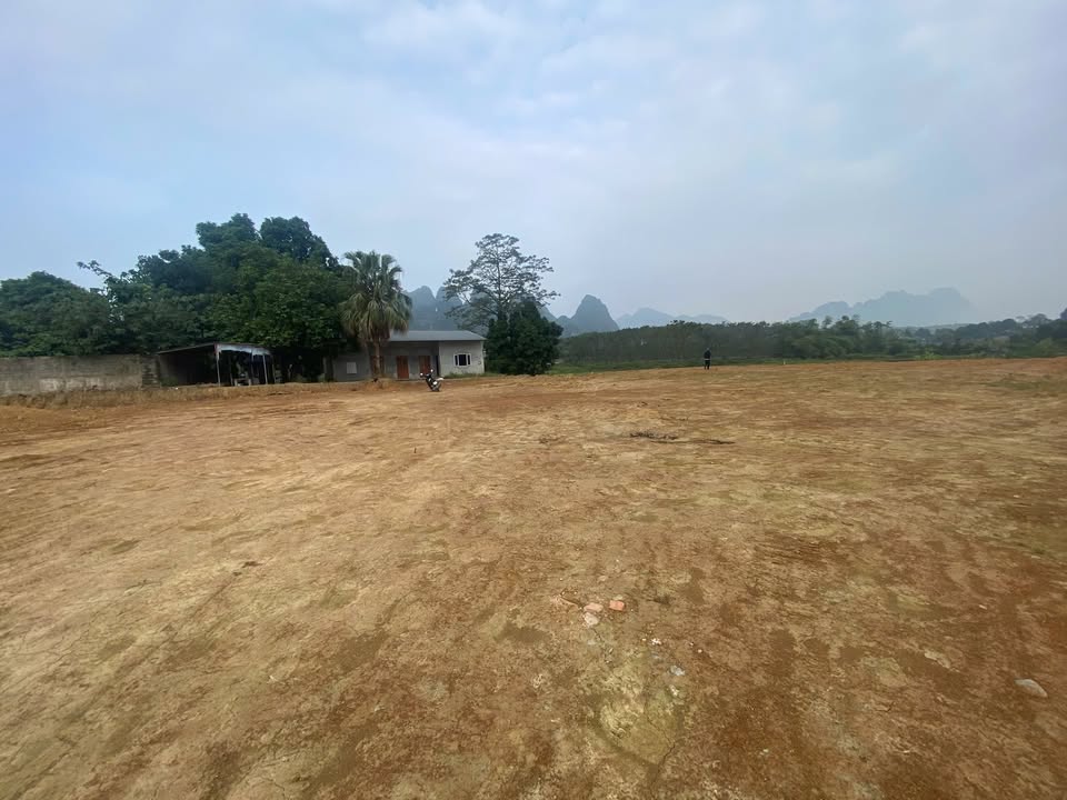 Đất nền 1.4ha tại Lương Sơn, Phú Thọ - Tiềm năng phát triển tuyệt vời!