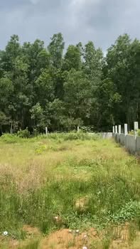 Đất nền hẻm Lê Hồng Phong, Phan Thiết 180m² giá 750 triệu - Cơ hội đầu tư hấp dẫn!