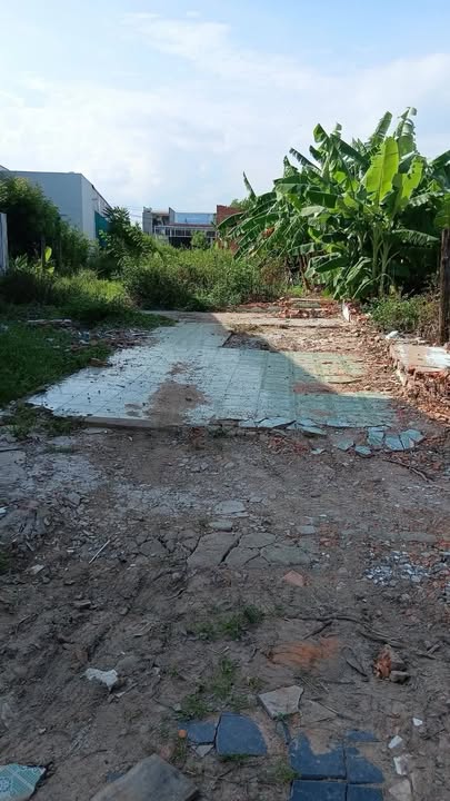 Đất trồng cây Phú Hài 255m² giá thỏa thuận - Cơ hội đầu tư hấp dẫn!