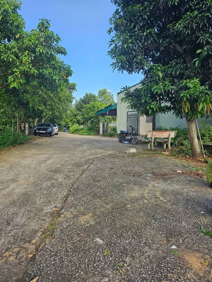 Đất Xóm Rừng Cấm 276m² giá 3 tỷ - Kinh doanh ngay với 12 phòng trọ