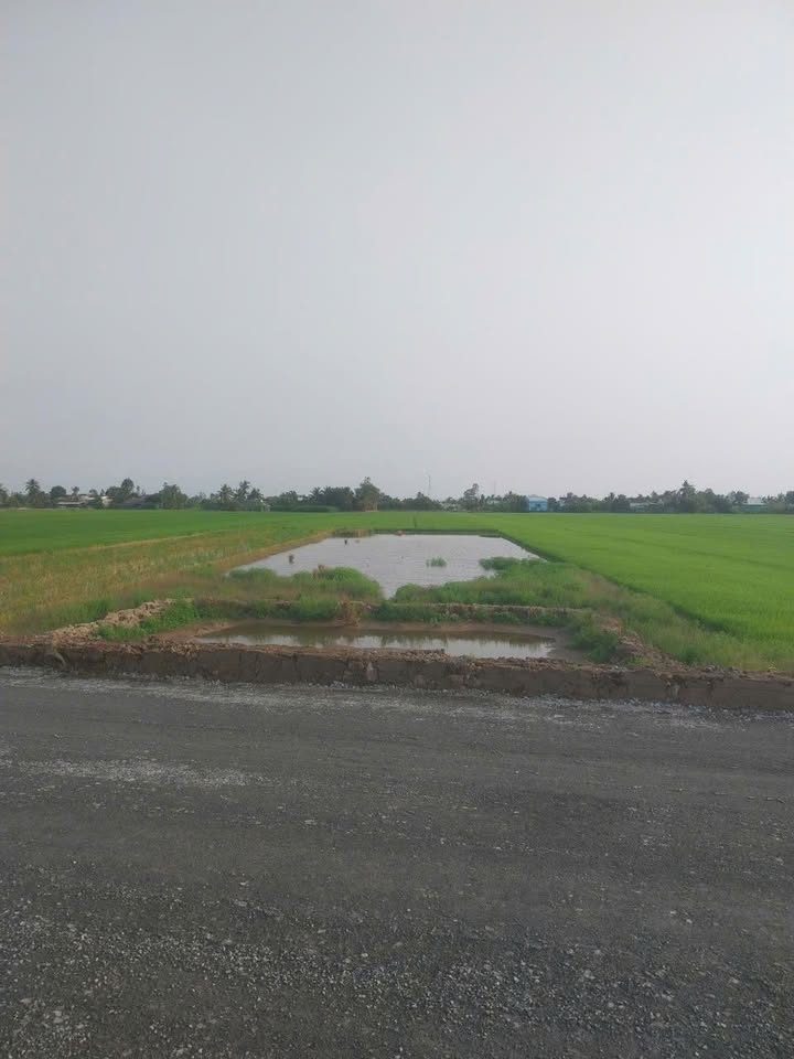 Đất nông nghiệp Long Bình 1800m² giá 24.84 tỷ - Cơ hội đầu tư hấp dẫn!