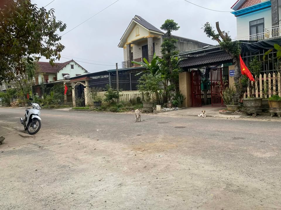 FrontHouse đường Lê Thế Tiết Triệu Phong 127m² giá 800 triệu - Kinh doanh sầm uất!