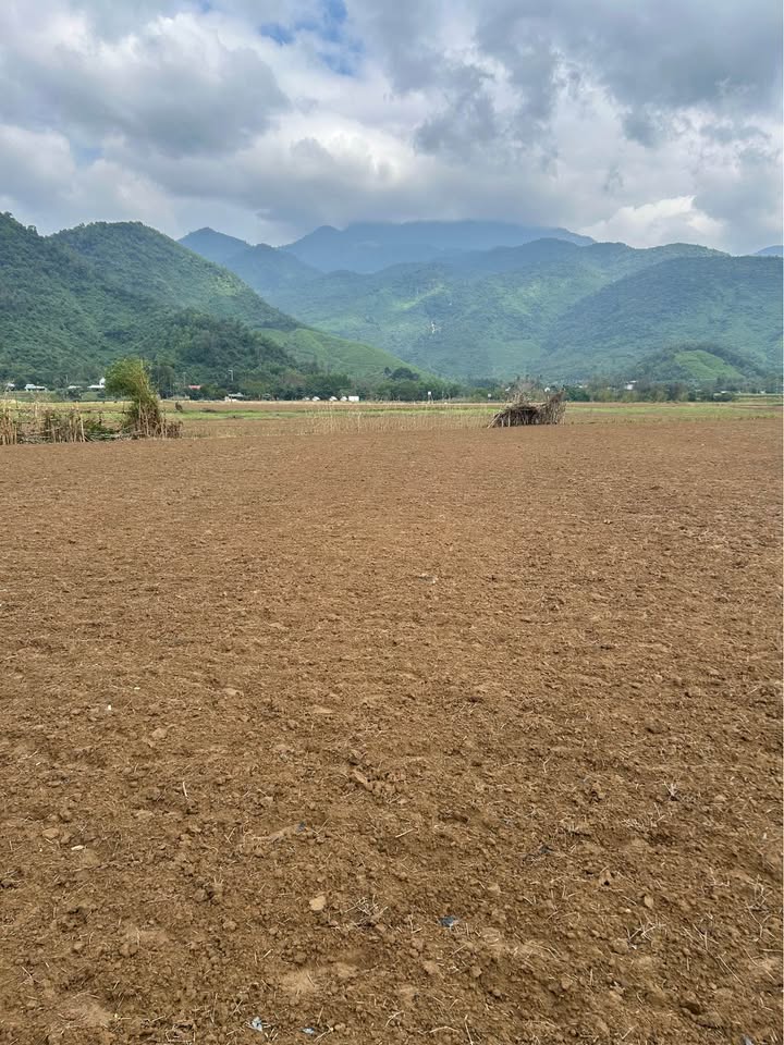 Lô đất vườn 3654m² tại Hòa Bắc - Giá cực tốt chỉ 5 tỷ